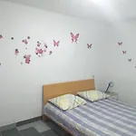 Branka Apartamento *