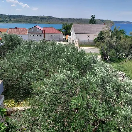 Apartment Branka