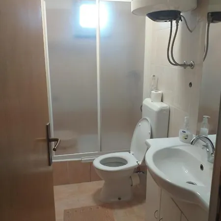 Apartment Branka